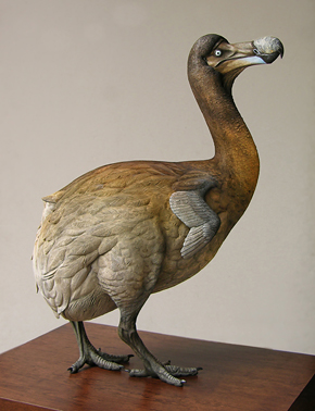 Reconstrucción del pájaro Dodo