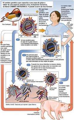 La OMS advierte de que la expasión de la nueva gripe será imparable