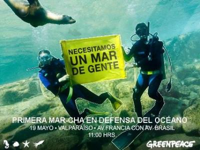 Greenpeace pide a los supermercados que dejen de ser cómplices de la destrucción de los océanos