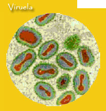 Especialistas descubren la proteína con la que la viruela logra atacar el cuerpo humano